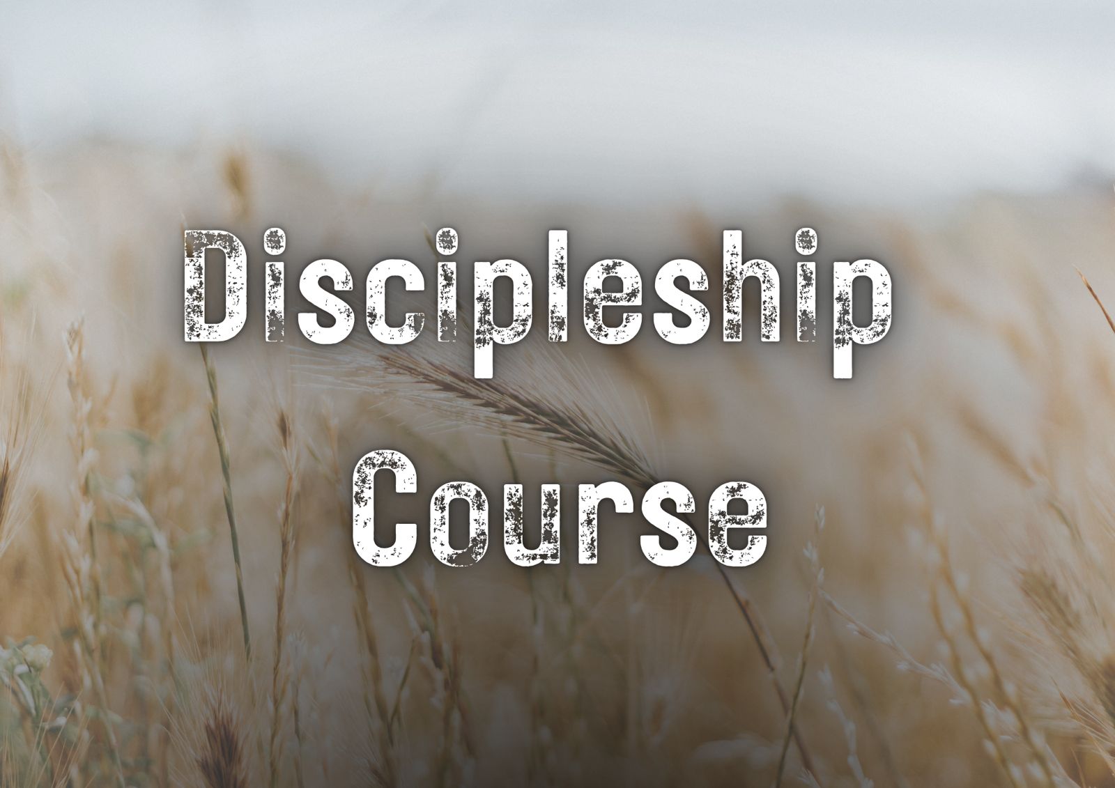 Lesson 8 – Frequently asked Questions